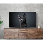 Samsung 65 Inch OLED- 4K Smart TV Laser Slim Design QA65S90C