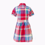 Polo Ralph Lauren Checkered Logo Embroidered Dress