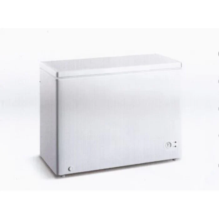 SKYRUN BD-300HNW 300 Liters Chest Freezer