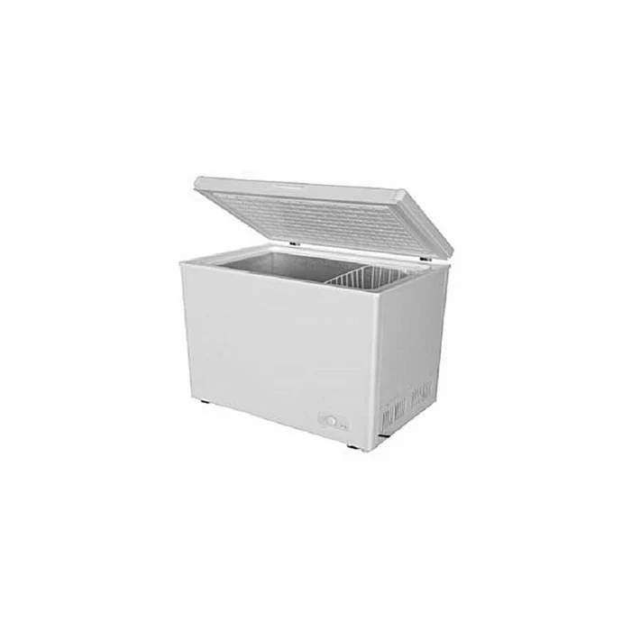 SKYRUN BD-300HNW 300 Liters Chest Freezer