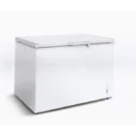 SKYRUN BD-300HNW 300 Liters Chest Freezer