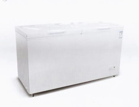 Skyrun BD-550W 550 Liters Double Door Chest Freezer