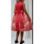 Red Children Dress