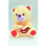 Love Teddy Bear – White