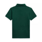 Polo Ralph Lauren Big Pony Cotton Mesh Polo Shirt Green and Burgundy