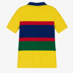 Polo Ralph Lauren Logo Colour Block Striped Polo Shirt