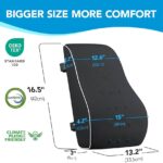 Lumbar Support Pillow for Office Chair, Office Home Essentials,Gifts for Mom,Dad, Back Support Pillow for Car, Chair Cushions,Back Pain Relief Improve Posture,Mesh Cover Double Adjustable Straps