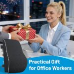 Lumbar Support Pillow for Office Chair, Office Home Essentials,Gifts for Mom,Dad, Back Support Pillow for Car, Chair Cushions,Back Pain Relief Improve Posture,Mesh Cover Double Adjustable Straps