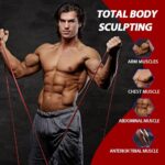 LEEKEY Resistance Bands, Exercise Bands with Handles,Pull Up Assist Bands – Band Set with Door Anchor – Bands for Working Out,Band for Men and Women Fitness Training,Home Workouts