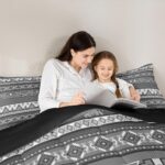 Southwestern Comforter Set Western Tribal Rustic Aztec Bedding Set for Women Men Native American Quilt Country Boho Bohemian Down Comforter Twin Geometric Gray Striped