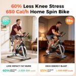 YOSUDA Exercise Bike, Brake Pad Stationary Bike for Home with Exclusive App, Magnetic Indoor Cycling Bike with 300 lb Weight Capacity, Low Noise, Tablet Holder and Fitness Courses for Weight Loss