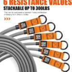 HPYGN Heavy Resistance Bands, 300LBS Exercise Bands for Working Out, Fitness Bands with Handles, Workout Bands for Men, Weight Bands Set for Muscle Training, Strength, Slim, Yoga, Home Gym Equipment