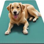 Gaiam Gaiam Essentials 2/5″ Thick (10mm) Yoga & Pilates, Fitness & Exercise Mat with Easy-Cinch Carrier Strap Cusion Support For Fitness and Gym Workouts