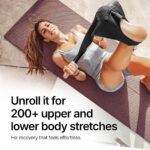 CastleFlexx Mobility and Full Body Strengthening Device