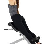 Sunny Health & Fitness Foldable Hyperextension Roman Chair w/Back Extension, Home Gym Sit Up Bench for Glute & Ab Workouts, Optional Adjustment Incline & Multi-Function Heavy-Duty Exercise Equipment