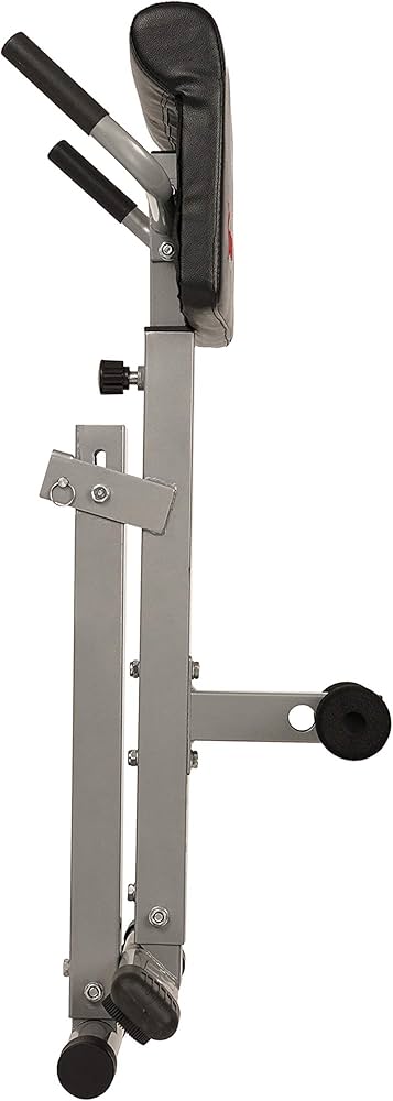 Sunny Health & Fitness Foldable Hyperextension Roman Chair w/Back Extension, Home Gym Sit Up Bench for Glute & Ab Workouts, Optional Adjustment Incline & Multi-Function Heavy-Duty Exercise Equipment