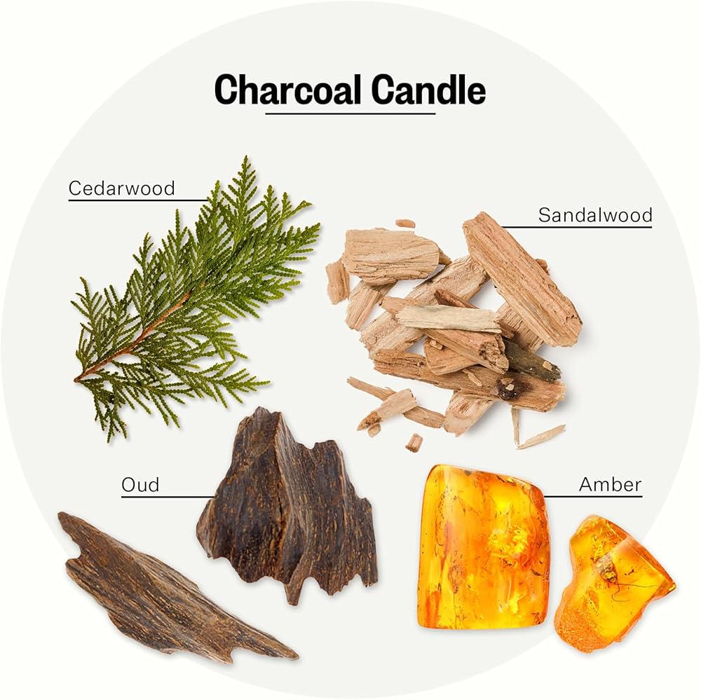 Apotheke Signature Scented Candles for Home, Charcoal – 10.5 oz – Soy Wax, Non Toxic, Large Jar Black – Luxury Candle Gifts for Women & Men – Cedarwood, Sandalwood, Oud, and Amber