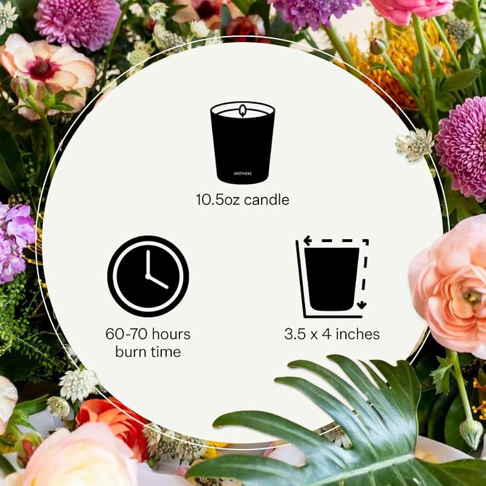 Apotheke Signature Scented Candles for Home, Charcoal – 10.5 oz – Soy Wax, Non Toxic, Large Jar Black – Luxury Candle Gifts for Women & Men – Cedarwood, Sandalwood, Oud, and Amber