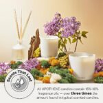 Apotheke Signature Scented Candles for Home, Charcoal – 10.5 oz – Soy Wax, Non Toxic, Large Jar Black – Luxury Candle Gifts for Women & Men – Cedarwood, Sandalwood, Oud, and Amber