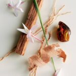 Maison Louis Marie – No.04 Bois de Balincourt Soy Wax Candle | Luxury Fragrance​s​ for a Modern World (8.5 oz | 240 g)