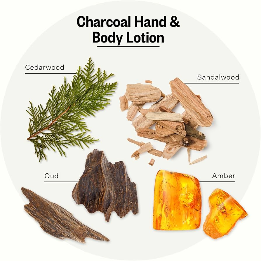 APOTHEKE Scented Hand & Body Lotion, Charcoal – 10 Fl Oz Nourishing Body Moisturizer Cream for Dry Skin – Gentle Daily Skincare for Men & Women with Natural Ingredients, All Skin Types