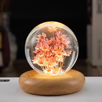 Real Flower Crystal Ball Night Light, Preserved Botanical Resin Sphere with Warm LED Wooden Base, Artistic Floral Lamp, Aesthetic Decor, Eternal Flower Gift for Women, Mom, Her (Red Daisy)