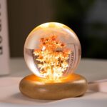 Real Flower Crystal Ball Night Light, Preserved Botanical Resin Sphere with Warm LED Wooden Base, Artistic Floral Lamp, Aesthetic Decor, Eternal Flower Gift for Women, Mom, Her (Red Daisy)