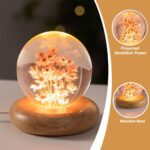 Real Flower Crystal Ball Night Light, Preserved Botanical Resin Sphere with Warm LED Wooden Base, Artistic Floral Lamp, Aesthetic Decor, Eternal Flower Gift for Women, Mom, Her (Red Daisy)