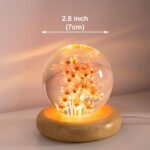 Real Flower Crystal Ball Night Light, Preserved Botanical Resin Sphere with Warm LED Wooden Base, Artistic Floral Lamp, Aesthetic Decor, Eternal Flower Gift for Women, Mom, Her (Red Daisy)
