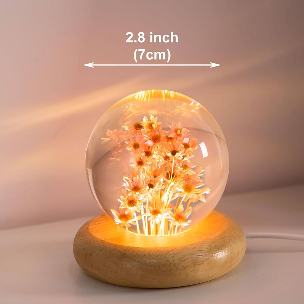 Real Flower Crystal Ball Night Light, Preserved Botanical Resin Sphere with Warm LED Wooden Base, Artistic Floral Lamp, Aesthetic Decor, Eternal Flower Gift for Women, Mom, Her (Red Daisy)
