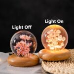 Real Flower Crystal Ball Night Light, Preserved Botanical Resin Sphere with Warm LED Wooden Base, Artistic Floral Lamp, Aesthetic Decor, Eternal Flower Gift for Women, Mom, Her (Red Daisy)