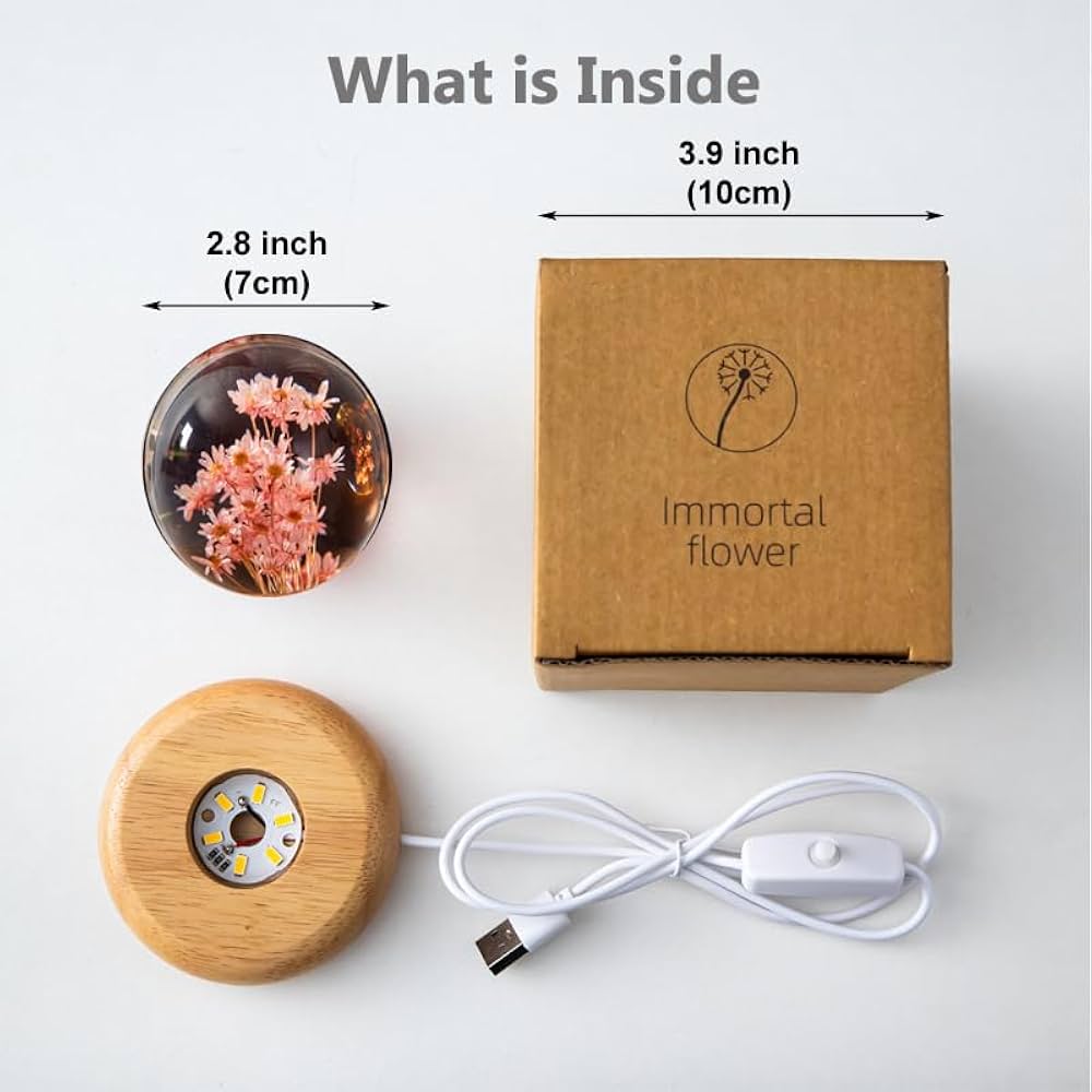 Real Flower Crystal Ball Night Light, Preserved Botanical Resin Sphere with Warm LED Wooden Base, Artistic Floral Lamp, Aesthetic Decor, Eternal Flower Gift for Women, Mom, Her (Red Daisy)