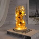 Artificial Sunflower in Glass Dome Enchanted Sunflower with LED Light Preserved Flowers Flower Dome for Day Mothers Day Valentines Birthday, Yellow