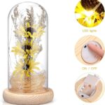 Artificial Sunflower in Glass Dome Enchanted Sunflower with LED Light Preserved Flowers Flower Dome for Day Mothers Day Valentines Birthday, Yellow