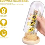 Artificial Sunflower in Glass Dome Enchanted Sunflower with LED Light Preserved Flowers Flower Dome for Day Mothers Day Valentines Birthday, Yellow