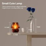 Mushroom Lamp Small Lamp Table Lamp for Bedroom, Desk Bedside Lamps for Living Room,Mushroom Decor Cute Mini Modern Mid Century Lamps for Night Stands,Aesthetic Home Living Room Decor(Black)