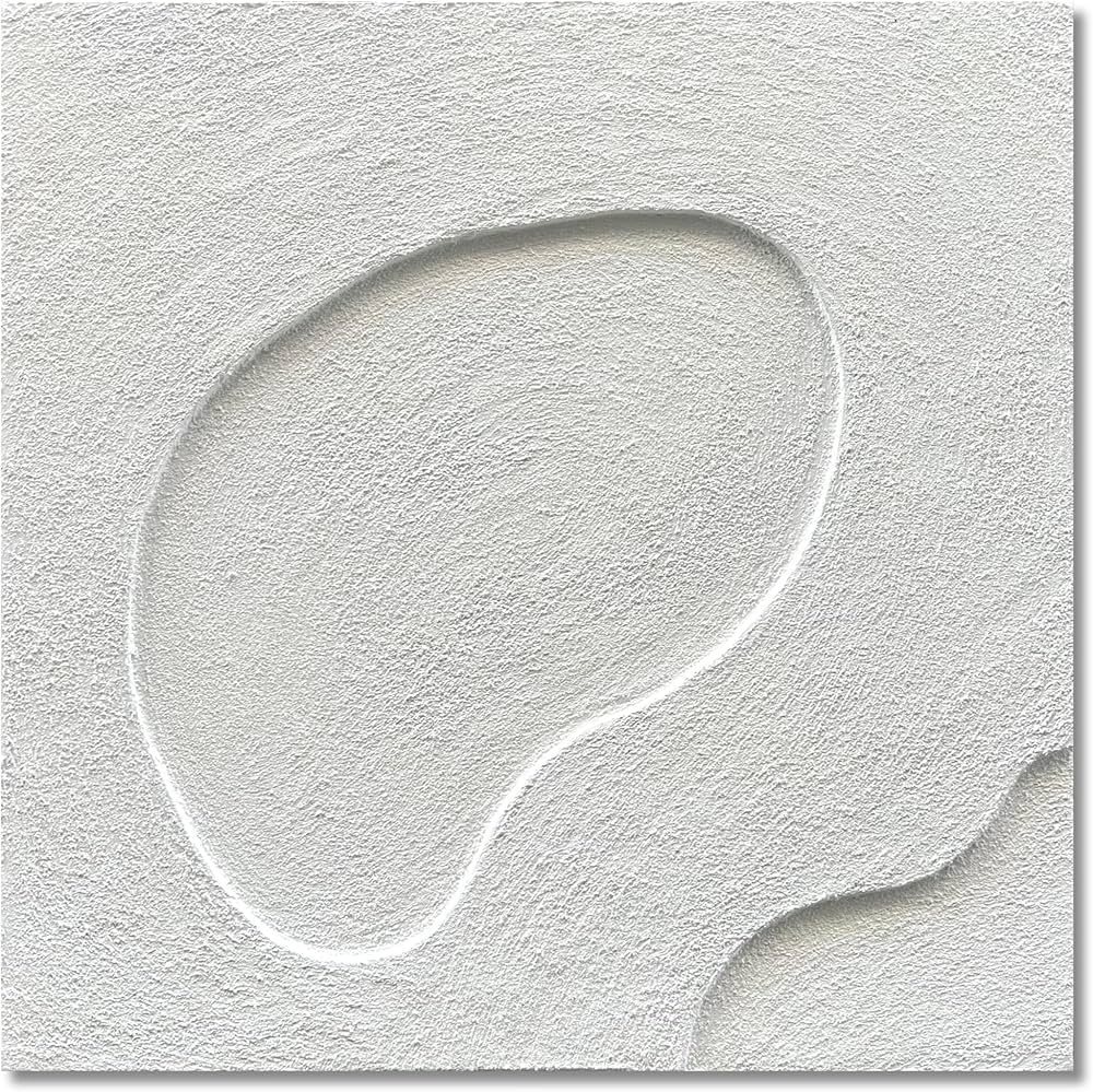 NANKAI Art Hand-Painted White Canvas Wall Art Abstract Thick Texture Oil Painting Modern Minimalist Art Home Wall Decoration Painting 24×24 inches